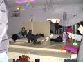 BILD1715