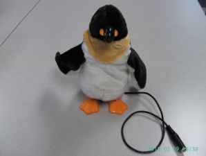 H065.jpg - Pinguin